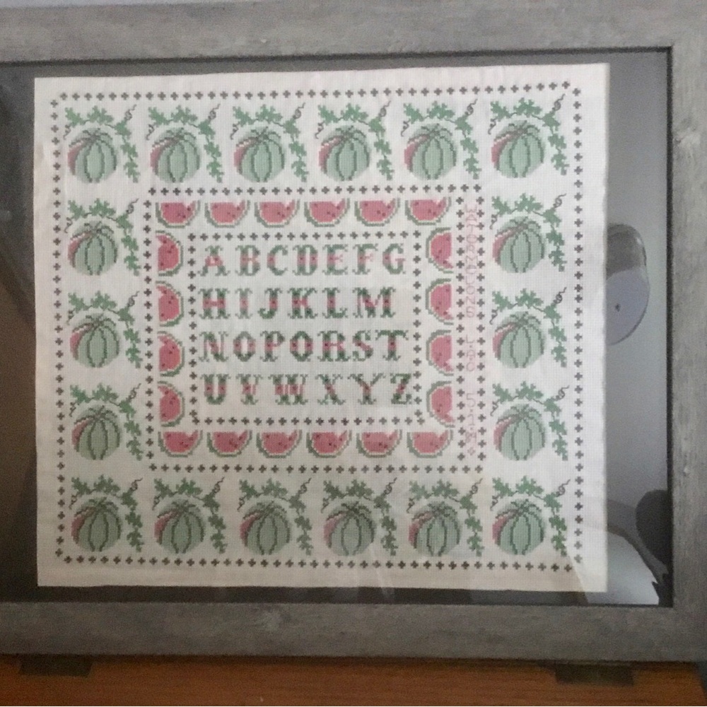 Cross Stitch Alphabet Sampler Watermelon Motif Gray Resin Frame Glass 22”x18”